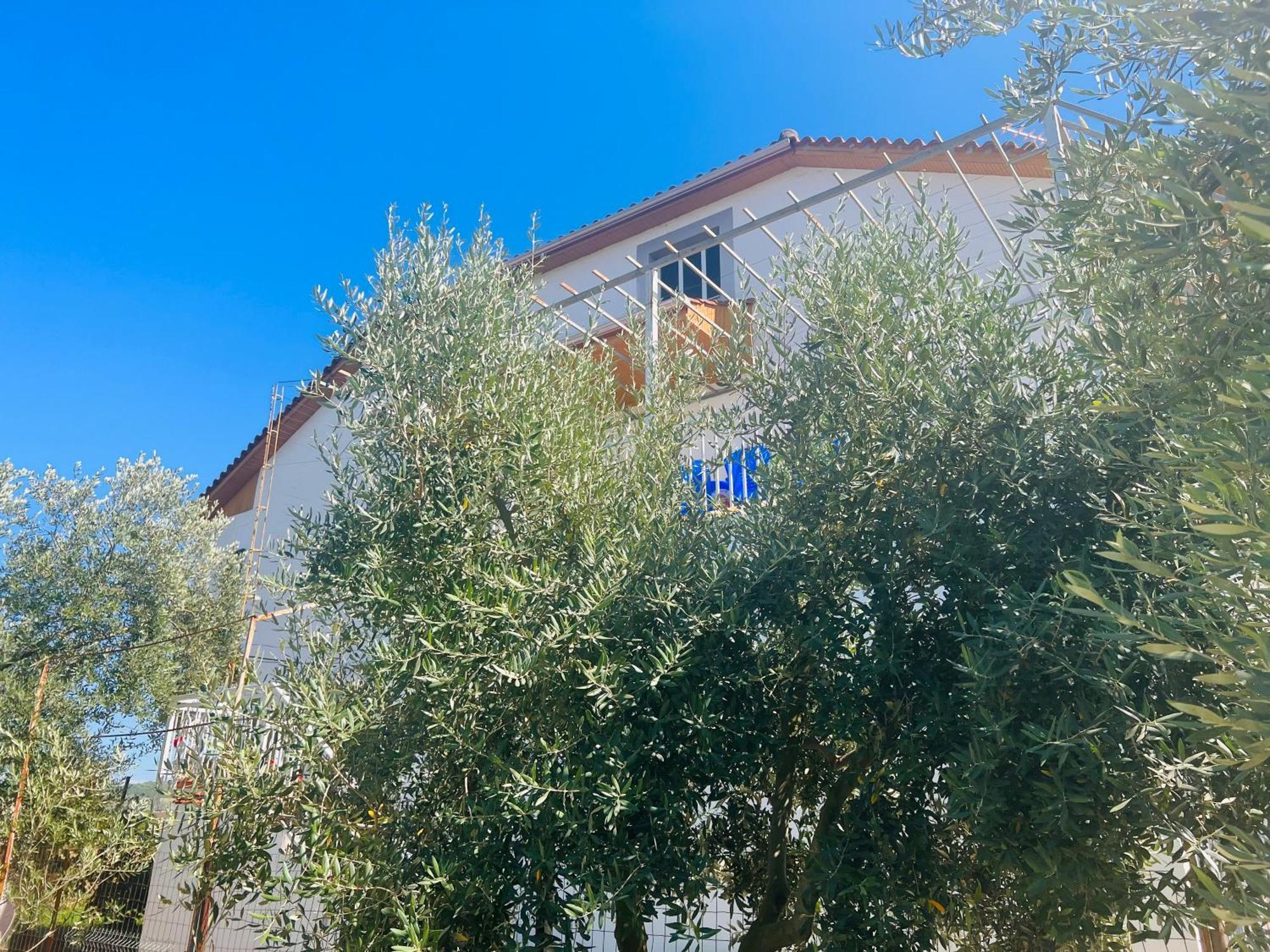 Fori Vodo Hotel Divjake Exterior foto
